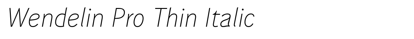 Wendelin Pro Thin Italic image